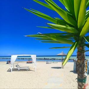una palmera en la playa con una tienda y sillas en Hotel Brezza en Rímini
