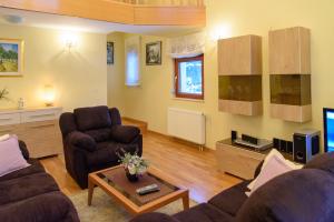 sala de estar con 2 sofás y TV en Villa Bjelolasica en Jasenak