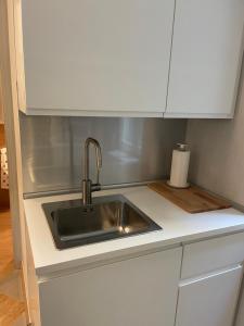 A kitchen or kitchenette at Accademia Dream