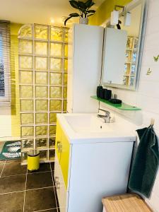 a bathroom with a sink and a glass wall at Maisonnette indépendante au calme in Vittel