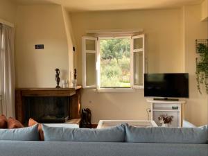 uma sala de estar com um sofá e uma televisão em Pandora Villa em Vathi