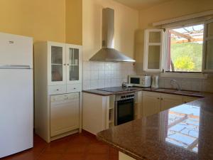 cocina con nevera blanca y fregadero en Pandora Villa en Ítaca