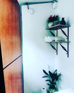 een kamer met twee planken aan een muur met een plant bij Glamping Villa Transito in Machetá