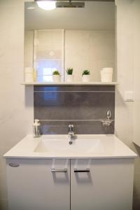 ein Bad mit einem Waschbecken und einem Spiegel in der Unterkunft Villa Bjelolasica in Jasenak