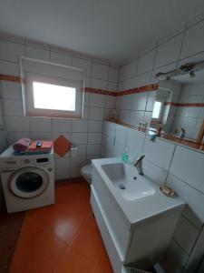 y baño con lavabo y lavadora. en Lovely Appartment with private patio and private entrance in Luxembourg 60m2, en Saeul