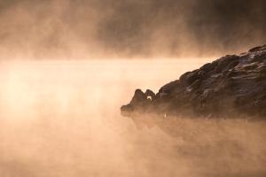 einem Wasserkörper mit Nebel im Hintergrund in der Unterkunft Faulenzerhotel in Friedersbach