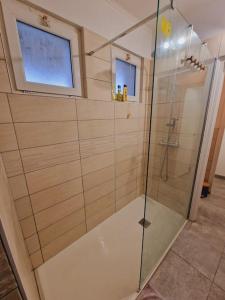 eine Dusche mit Glastür im Badezimmer in der Unterkunft Appart tout à portée de tongs! in Mimizan