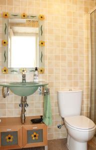 a bathroom with a sink and a toilet at Casa la Manzanera in Burgos