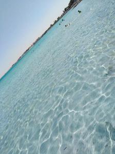 a large amount of crystal clear water on a beach at La villa de la mer in Sidi Bou Jobline