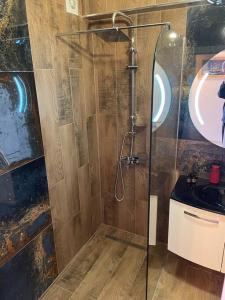 a shower with a glass door in a bathroom at Penthouse with castle view in Prizren