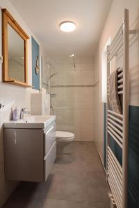 een badkamer met een wastafel en een toilet bij Dat Niehuus Tarnewitz in Boltenhagen
