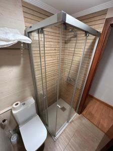 a bathroom with a toilet and a glass shower at HOSTAL EL CHOCOLATERO in Castildelgado