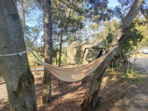 een hangmat die tussen twee bomen hangt voor een tent bij Gaia Off-grid Campsite in Swellendam +28 foto's