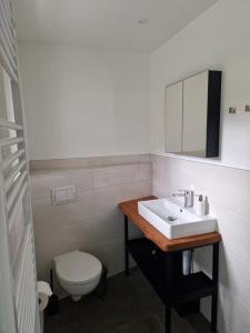 a bathroom with a sink and a toilet at Ferienwohnung und Monteurwohnung Schulz in Königs Wusterhausen
