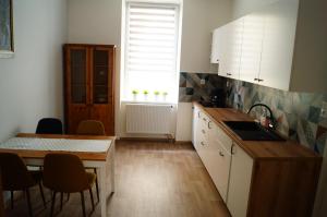 Kuchyň nebo kuchyňský kout v ubytování Apartmány Mary
