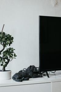 Televízia a/alebo spoločenská miestnosť v ubytovaní Hyper centre Clermont-Ferrand F2 Etat Unis