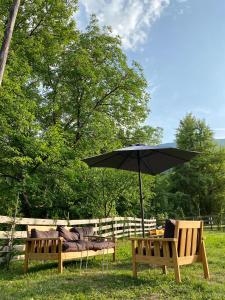 two benches with an umbrella in the grass at Zvjezdana dolina Garni hotel in Andrijevica