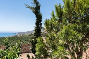 vistas al océano desde la cima de una colina con palmeras en Villa Olvía, en Sfakiá