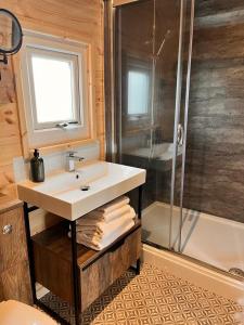 La salle de bains est pourvue d'un lavabo et d'une douche. dans l'établissement New Farm Cheshire Holidays, à Winsford