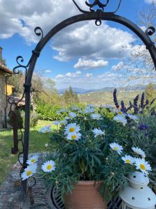 Zahrada ubytování Berenice in Chianti - Authentic Tuscan Country House
