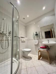 uma casa de banho com um WC, um lavatório e um chuveiro em Penzion Viktoria em Znojmo