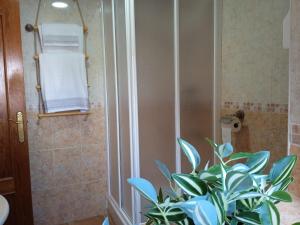 a bathroom with a shower with a plant in it at La Corralada de Merón in San Vicente de la Barquera