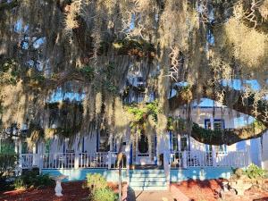 a large white house with a large tree overhead at Tybee Island Inn Bed & Breakfast in Tybee Island