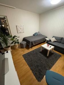 een woonkamer met een bed en een bank bij Studiohuoneisto Valtakatu 45, sauna, AC, WiFi in Lappeenranta