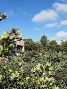 an old house on a hill with bushes and trees at LE CABANON 2.42 in Le Thor