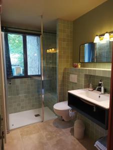 ein Bad mit einer Dusche, einem WC und einem Waschbecken in der Unterkunft Le petit Ermitage in Méré