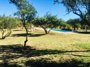 a field with trees and a pool of water at Color Local Cabañas in San Javier