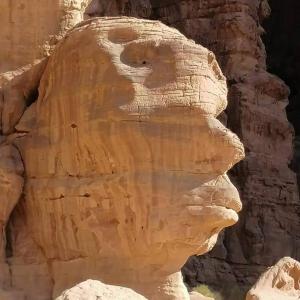 a rock formation with a face carved into it at Wadi rum Sunrise luxury camp in Wadi Rum