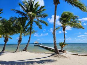 una playa con palmeras y un muelle en Sapphire Beach Resort , en San Pedro