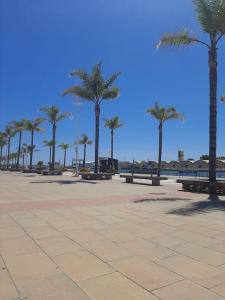 a park with palm trees and benches on the beach at Apartamento en el Grao de Gandía in Gandía