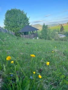 a field of grass with a gazebo and flowers at Pension Valentina in Mănăstirea Humorului