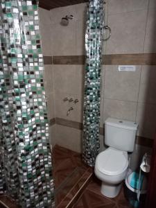 a bathroom with a toilet and a shower at Departamento LA LILI in Uspallata