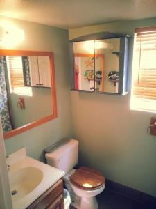 a bathroom with a toilet and a sink and a mirror at the Newport Family Peninsula Beach House in Newport Beach