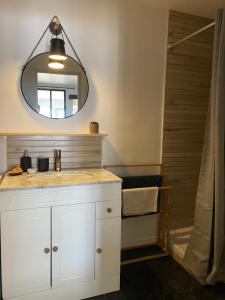 La salle de bains est pourvue d'un lavabo et d'une douche avec un miroir. dans l'établissement Les reflets de l'étang, à Balaruc-les-Bains