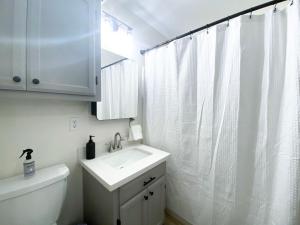 baño con lavabo y cortina de ducha blanca en Quiet 2BR 2BA, Laundry, Wi-Fi, Near Shops & Restos en McAllen