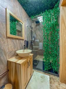 a bathroom with a sink and a shower at Arhico Cabins in Satu Mare