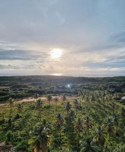 uma vista aérea de um campo com palmeiras em Salinas Exclusive Resort em Salinópolis