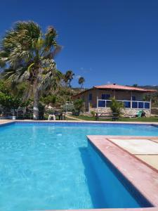 una piscina con una palmera y una casa en Hotel Alto Velo Beach, en Bejuquero