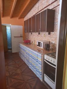 a kitchen with a stove and a microwave at CASA PARA ALQUILER LA LILI in Uspallata