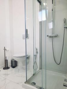 a bathroom with a glass shower and a toilet at Faro Casa da Baixa in Faro