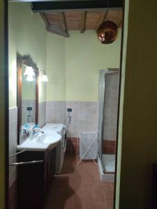 a bathroom with a sink and a shower at L'Oliviera, Pari in Pari