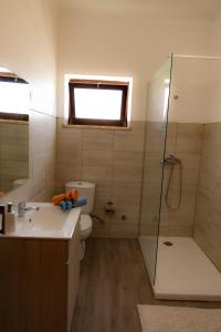 een badkamer met een toilet, een wastafel en een douche bij Apartamento Rosa in Porto Covo