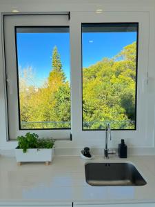 Naturlandskabet i nærheden af lejligheden