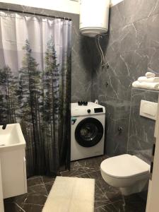 a bathroom with a toilet and a washing machine at Apartman Miro in Marčana