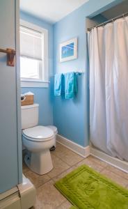 La salle de bains bleue est pourvue de toilettes et d'une douche. dans l'établissement 219 North Shore Boulevard East Sandwich - Beach Life, à East Sandwich