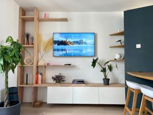Televízia a/alebo spoločenská miestnosť v ubytovaní Perle Rare - Cosy Duplex proche canal St.Martin